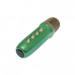 Ασύρματο Bluetooth φορητό ηχείο και karaoke με ασύρματο μικρόφωνο πράσινο YS-104 OEM