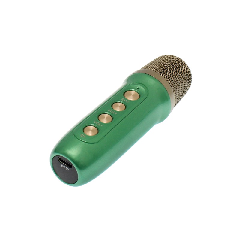 Ασύρματο Bluetooth φορητό ηχείο και karaoke με ασύρματο μικρόφωνο πράσινο YS-104 OEM