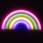 Neon LED διακοσμητικό φωτιστικό μπαταρίας και USB ουράνιο τόξο RGB OEM